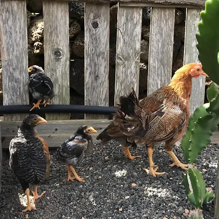 Eslanzarote Eco Country House, Star View Area, Super Wifi, Barbecue Hébergement de vacances