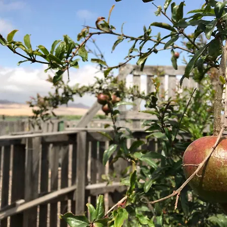Eslanzarote Eco Country House, Star View Area, Super Wifi, Barbecue Hébergement de vacances Teguise (Lanzarote)